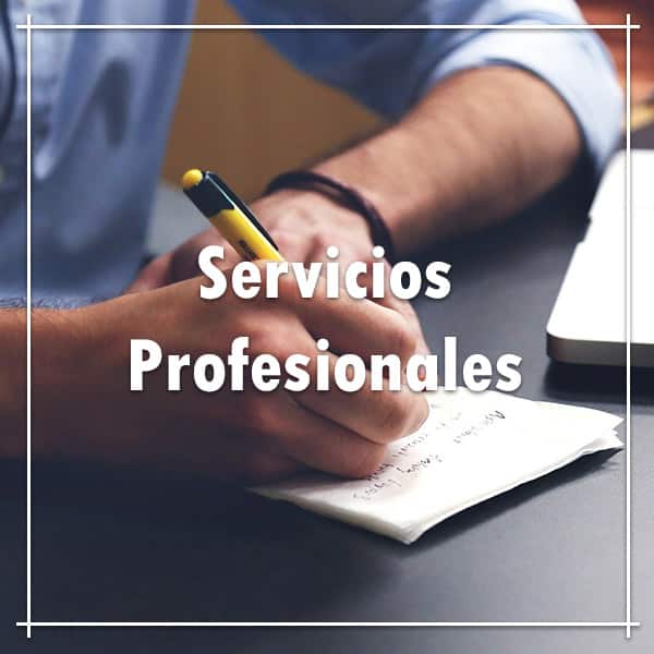 servicios de profesionales en gamarra